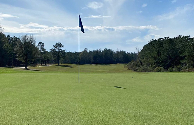 flag on golf course green